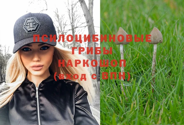 круглые Аркадак