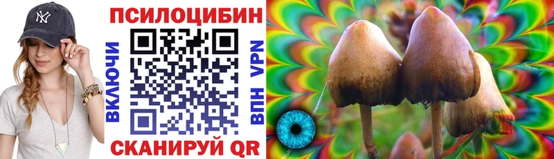 Псилоцибиновые грибы Psilocybine cubensis  Верхнеуральск 